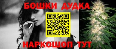 крисы Бийск