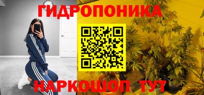 крисы Бийск