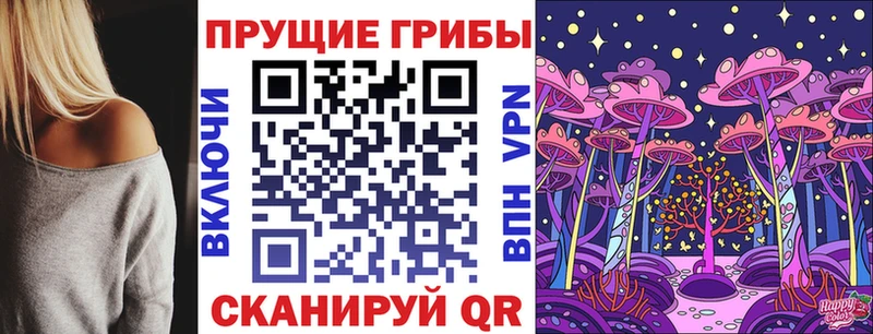 Галлюциногенные грибы Psilocybine cubensis  Фрязино 