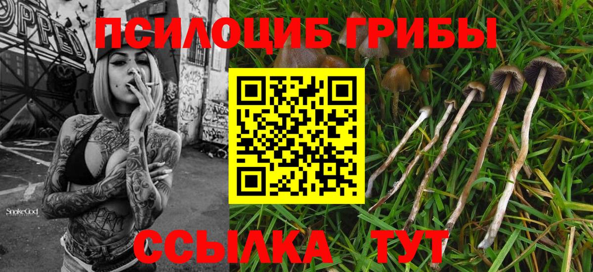 Фрязино  Псилоцибиновые грибы Magic Shrooms  Галлюциногенные грибы GOLDEN TEACHER  Вход с VPN 