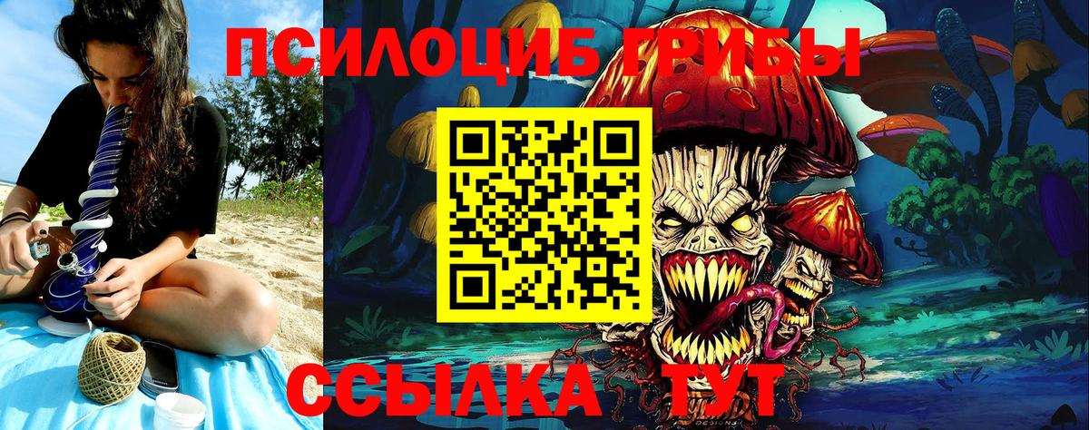 Галлюциногенные грибы Cubensis Фрязино