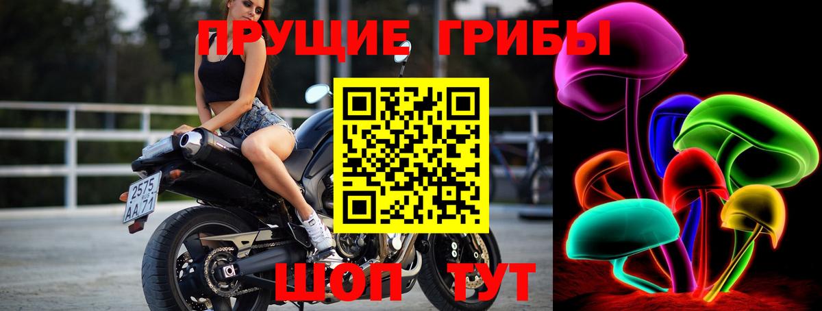 Псилоцибиновые грибы мухоморы  Фрязино 